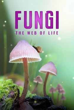 watch-Fungi: The Web of Life