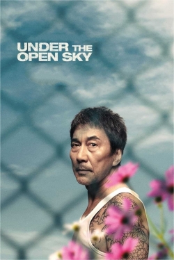 watch-Under the Open Sky