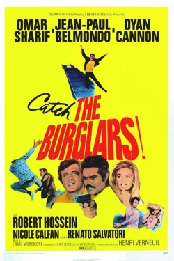 watch-The Burglars