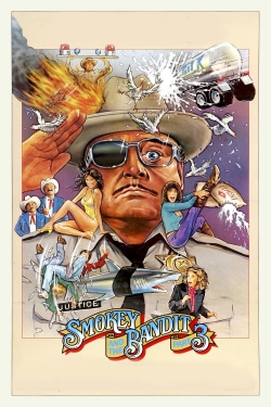 watch-Smokey and the Bandit Part 3