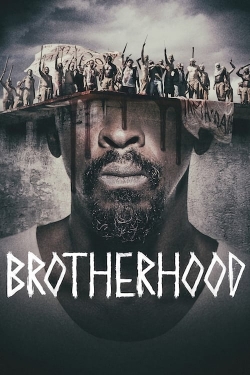 watch-Brotherhood