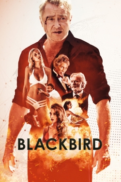 watch-Blackbird