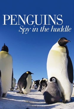 watch-Penguins: Spy in the Huddle