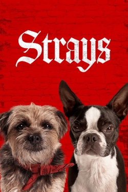 watch-Strays