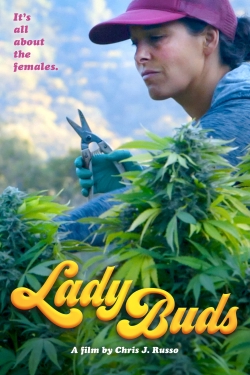 watch-Lady Buds