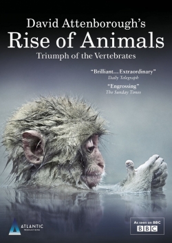 watch-David Attenborough's Rise of Animals: Triumph of the Vertebrates