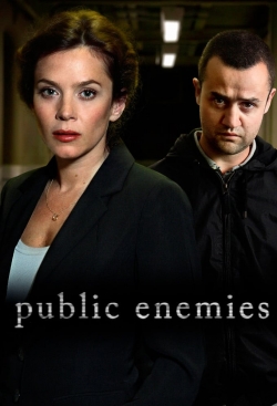 watch-Public Enemies