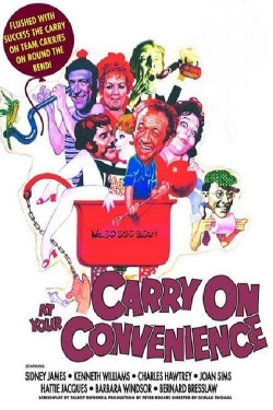 watch-Carry On at Your Convenience