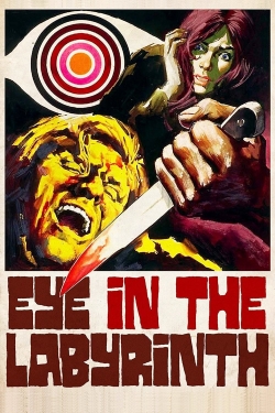 watch-Eye in the Labyrinth