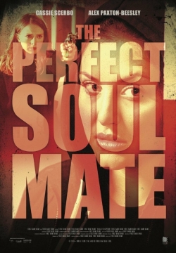 watch-The Perfect Soulmate